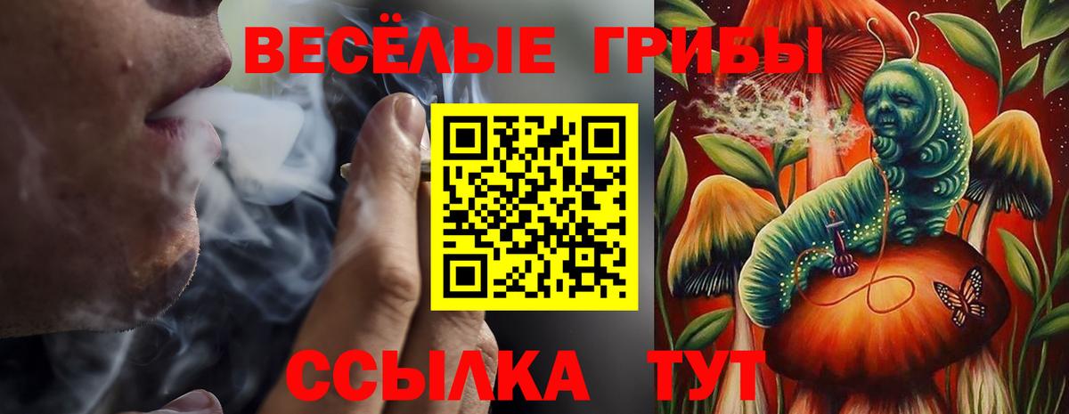 Галлюциногенные грибы Psilocybine cubensis  Вход с VPN  Галлюциногенные грибы Cubensis  Полевской 