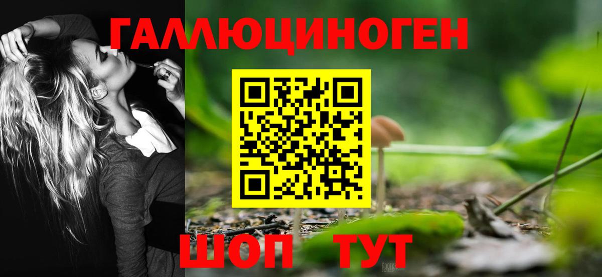 Псилоцибиновые грибы GOLDEN TEACHER Полевской